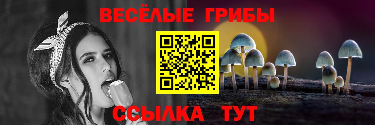 Псилоцибиновые грибы Psilocybine cubensis  Псилоцибиновые грибы Psilocybine cubensis  Луховицы  Вход с VPN 